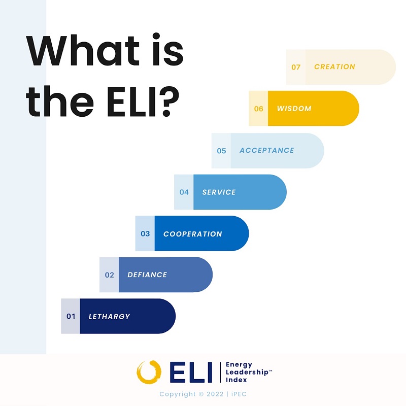 Energy Leadership Index - What is the ELI?