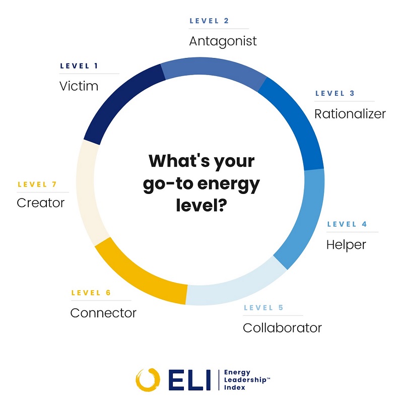 Energy Leadership Index - What is your go-to energy level?